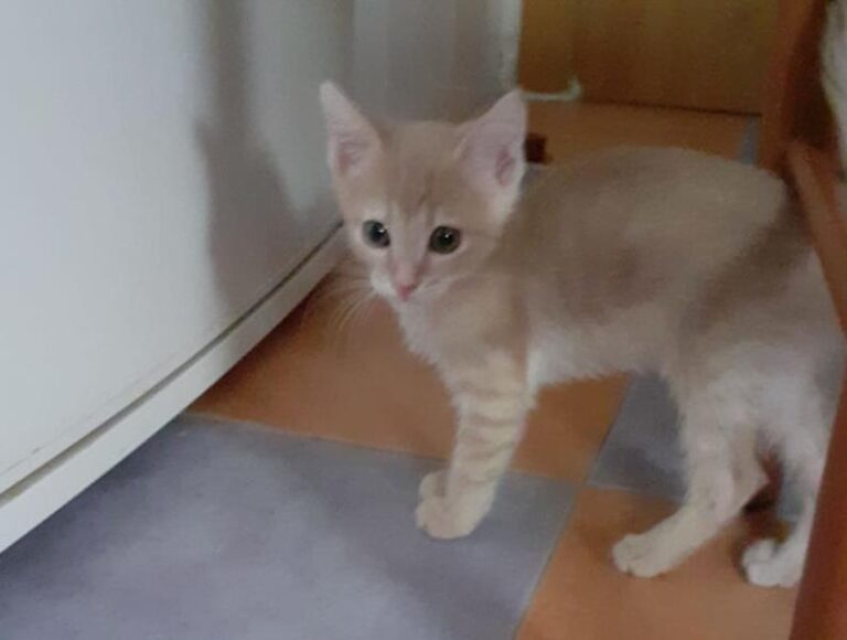 multimedia-foto59578-774-1