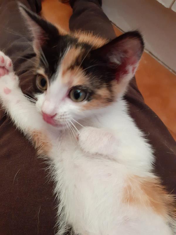 multimedia-foto59581-858-1