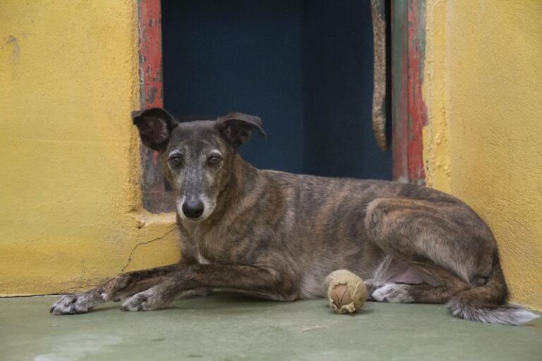 multimedia-foto59606-927-3