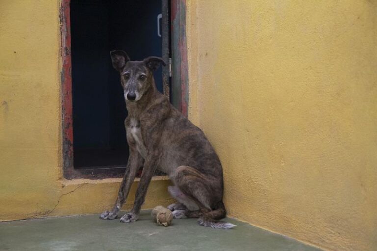 multimedia-foto59607-928-3