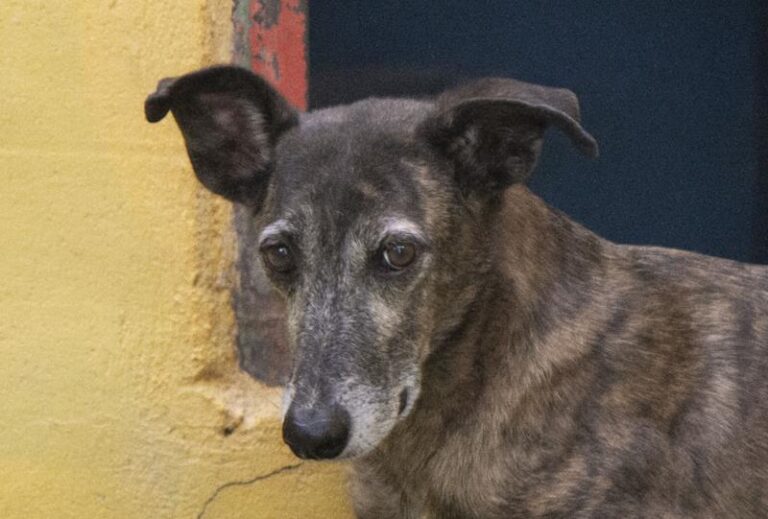 multimedia-foto59608-928-3