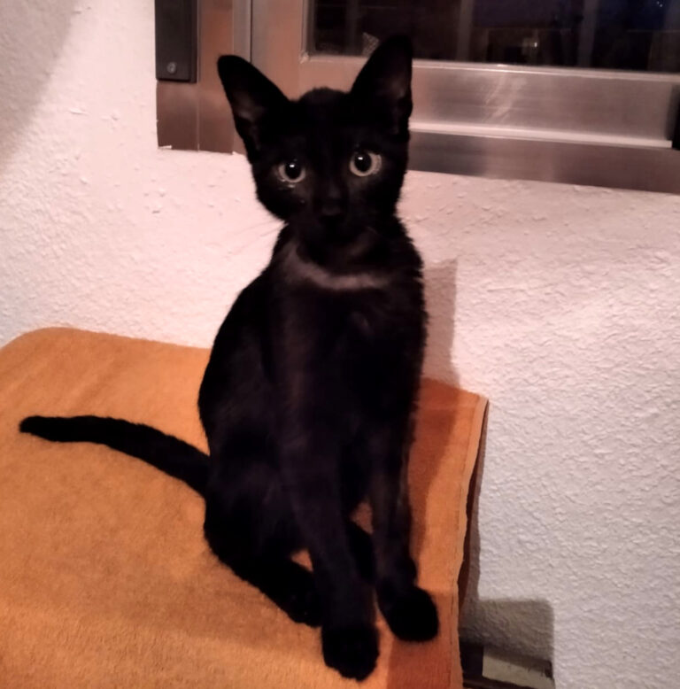 multimedia-foto59611-244-1