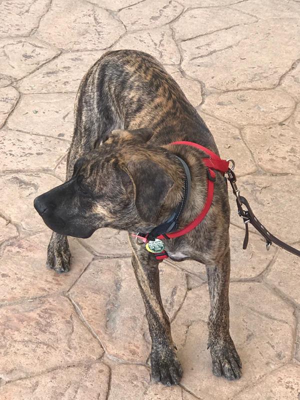 multimedia-foto59612-50-1