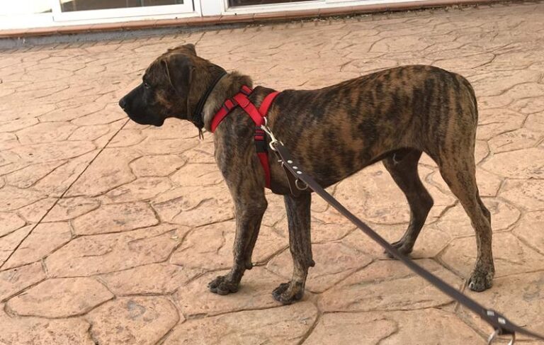 multimedia-foto59613-50-1