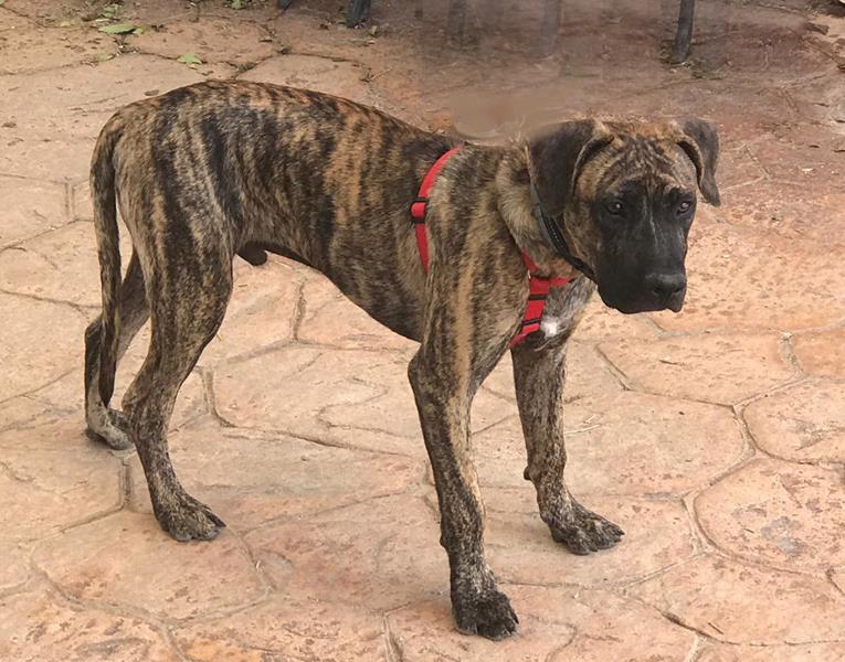 multimedia-foto59614-50-1