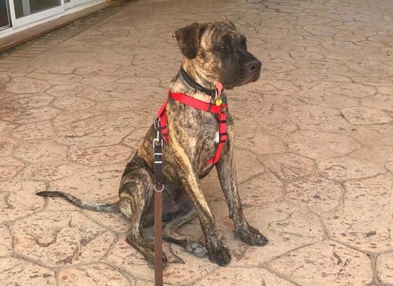 multimedia-foto59615-50-1