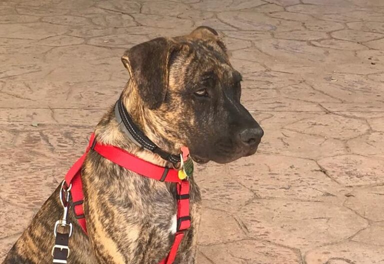 multimedia-foto59616-51-1