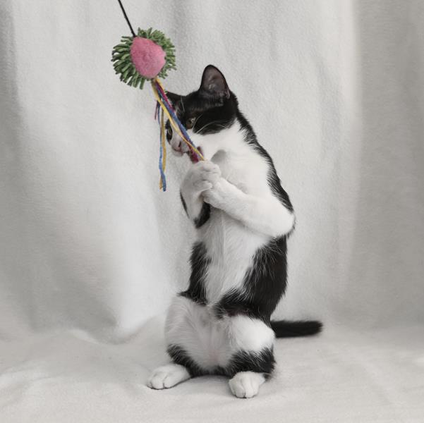 multimedia-foto59625-893-1