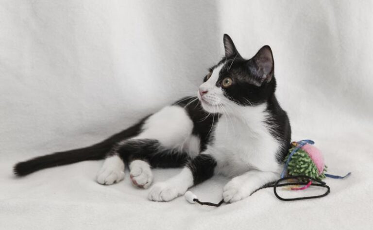 multimedia-foto59627-893-1