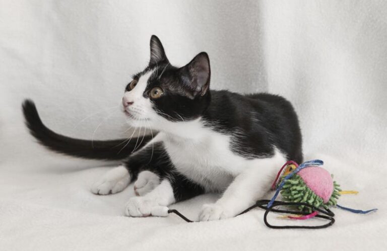 multimedia-foto59628-893-1