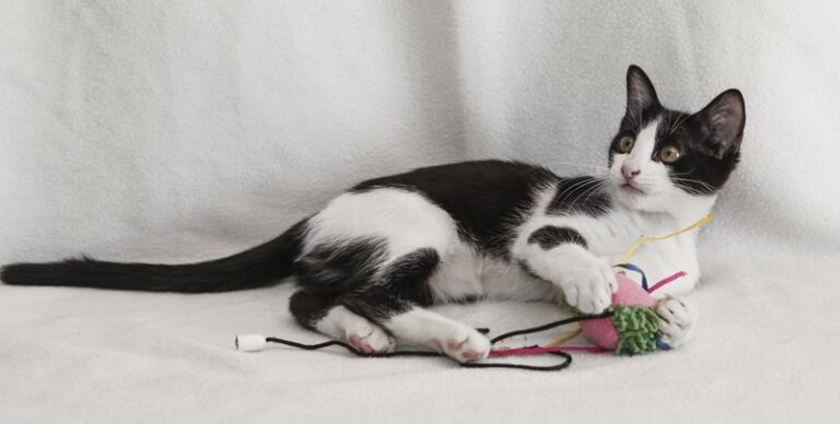 multimedia-foto59629-893-1