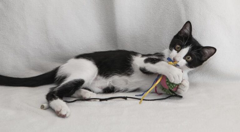 multimedia-foto59630-894-1