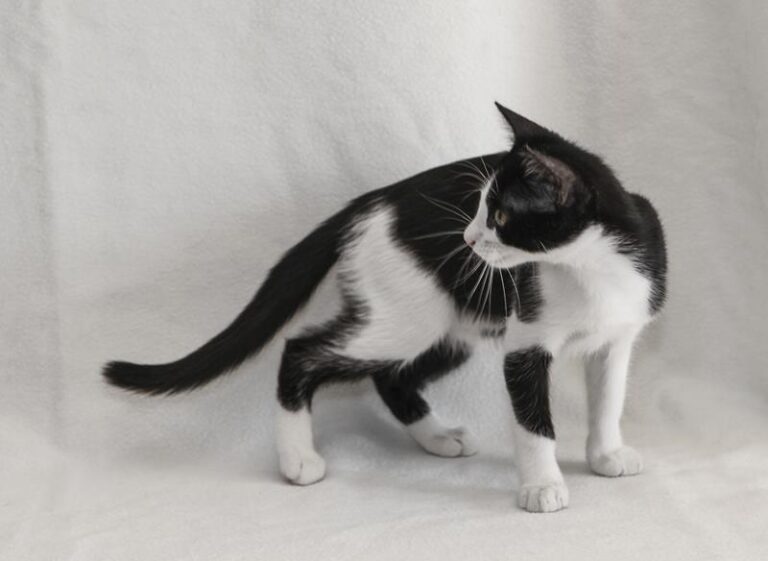 multimedia-foto59631-894-1