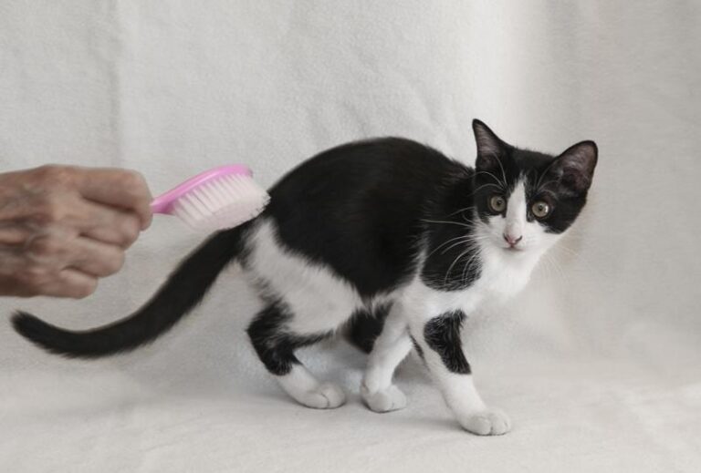 multimedia-foto59632-894-1