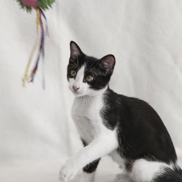 multimedia-foto59633-894-1