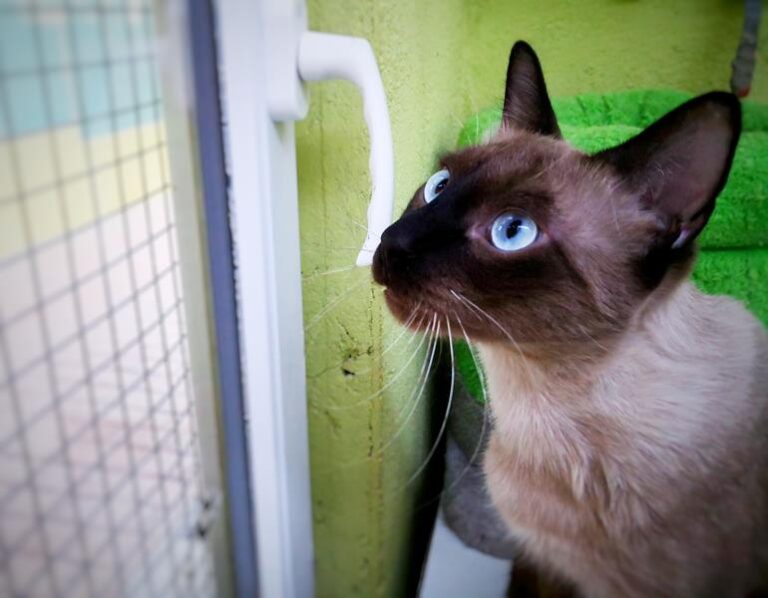 multimedia-foto59647-29-1