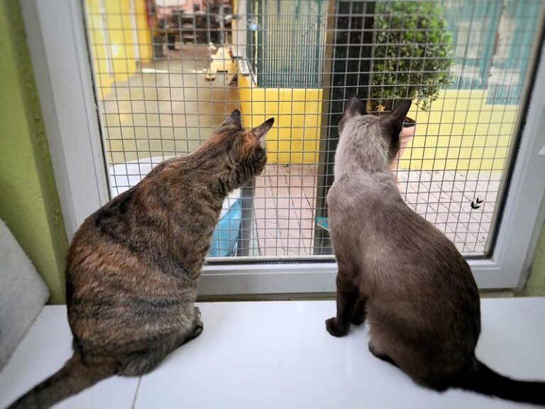 multimedia-foto59648-29-1