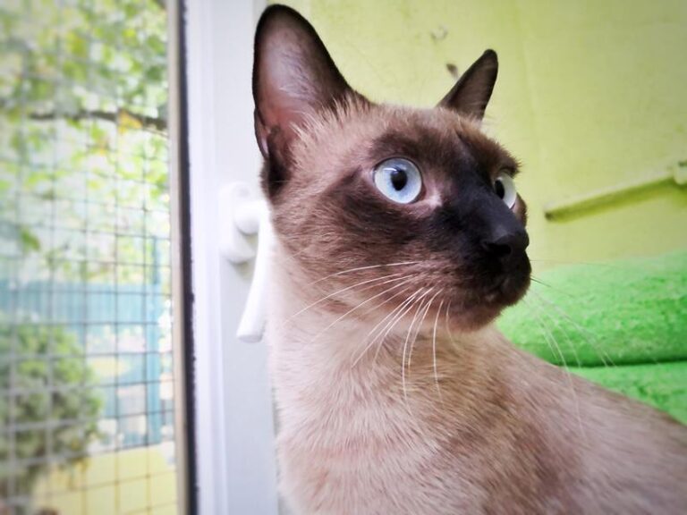 multimedia-foto59649-29-1