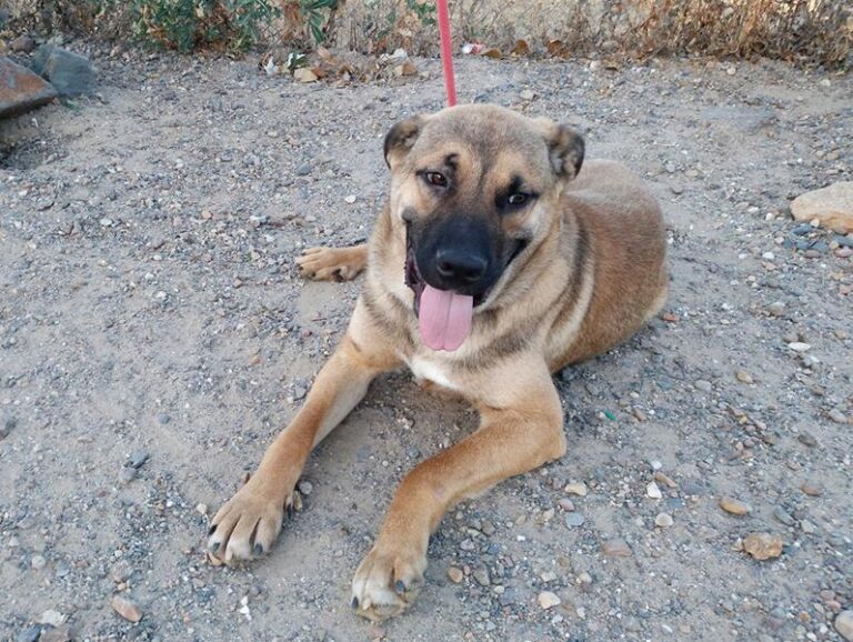 multimedia-foto59650-893-1