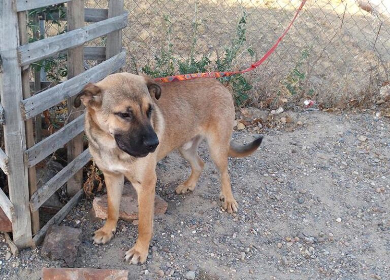 multimedia-foto59651-893-1