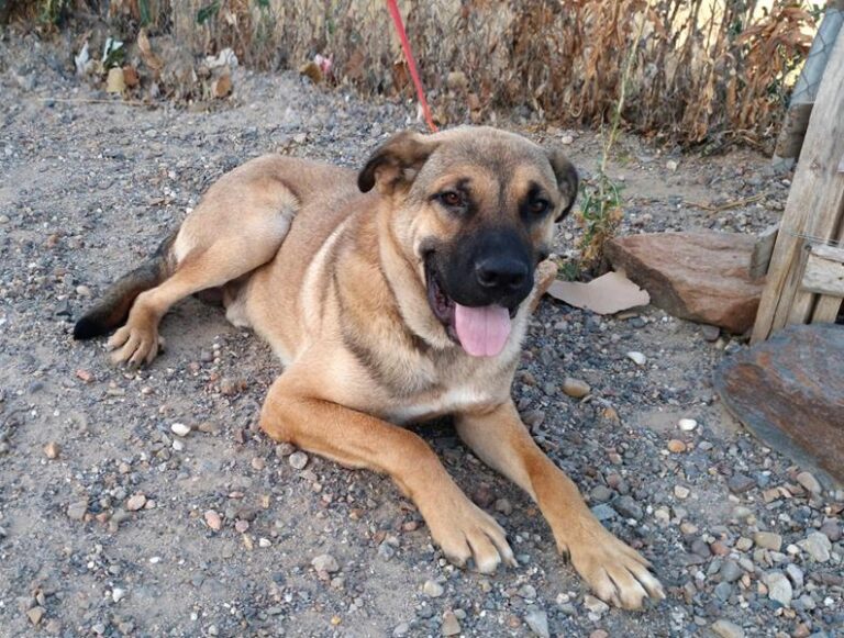 multimedia-foto59653-894-1