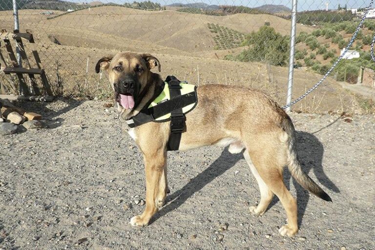 multimedia-foto59654-894-1