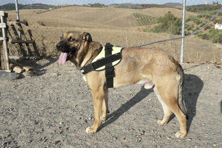 multimedia-foto59655-894-1