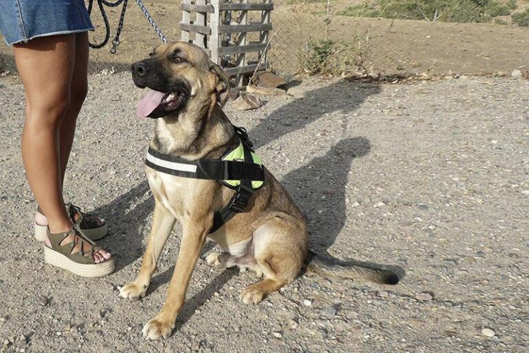 multimedia-foto59656-894-1