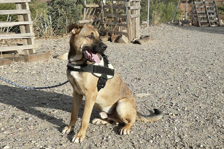 multimedia-foto59657-895-1