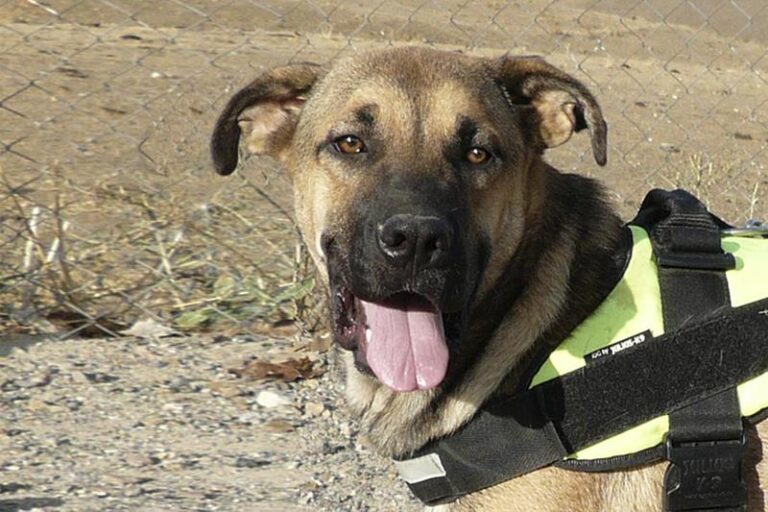 multimedia-foto59658-895-1