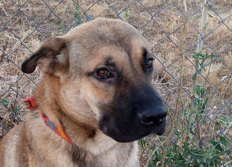 multimedia-foto59659-920-1