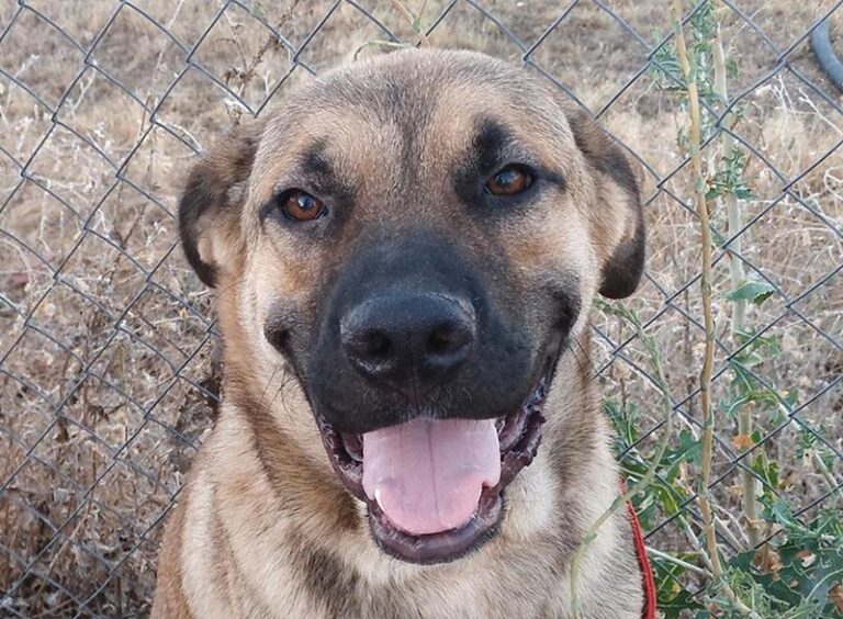 multimedia-foto59660-920-1