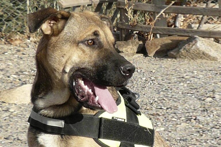 multimedia-foto59661-920-1