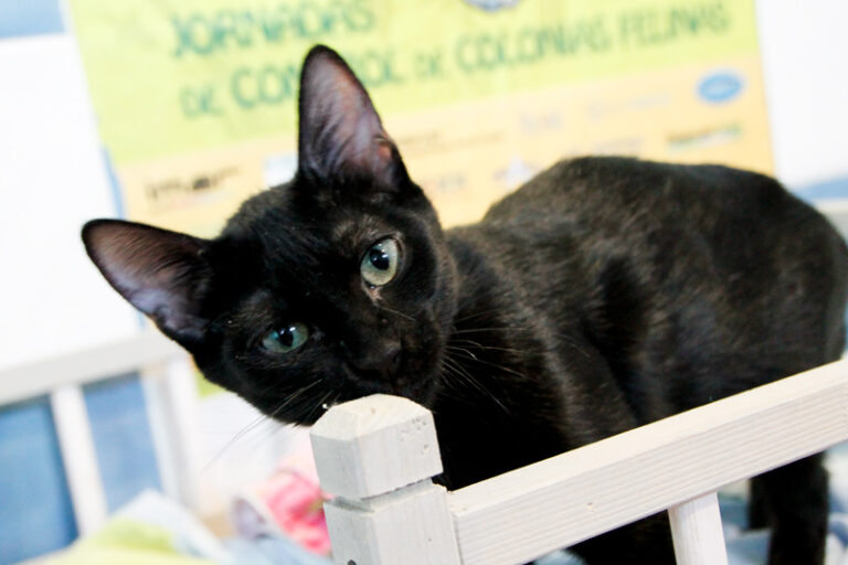 multimedia-foto59675-928-1