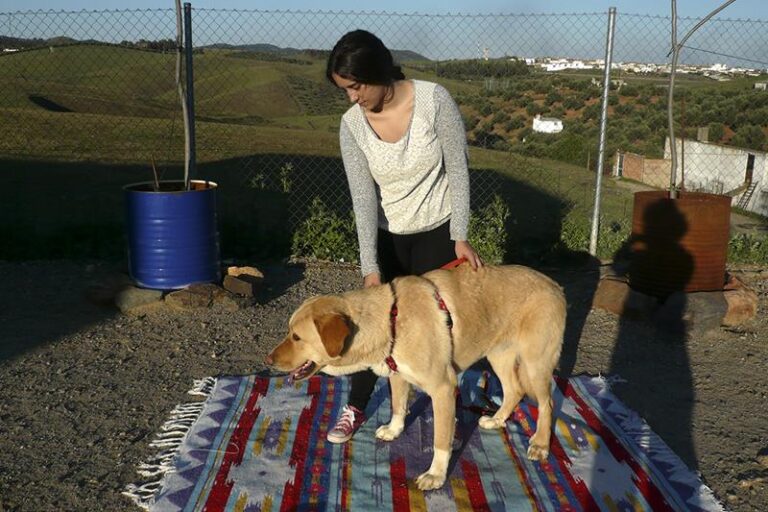 multimedia-foto59681-113-1