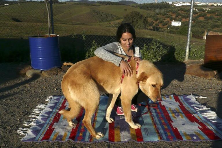 multimedia-foto59682-113-1