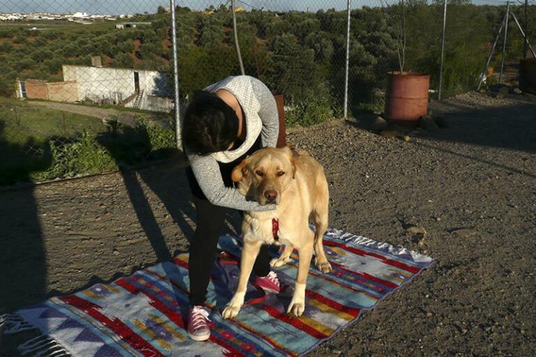 multimedia-foto59683-113-1