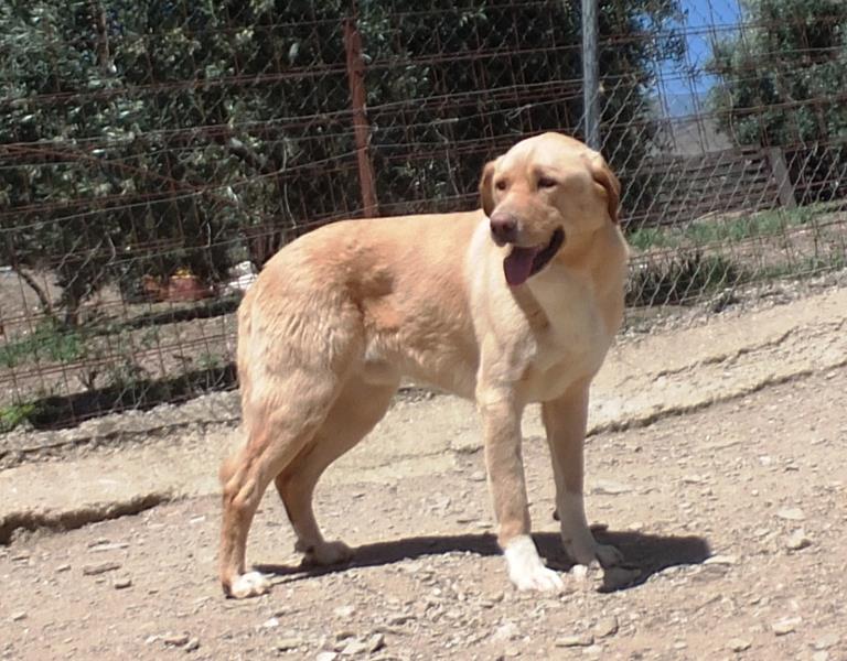 multimedia-foto59684-113-1