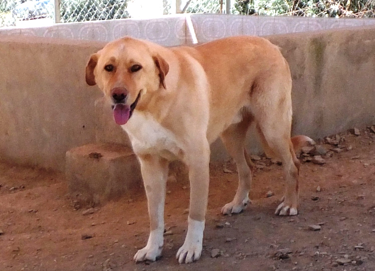 multimedia-foto59685-113-1