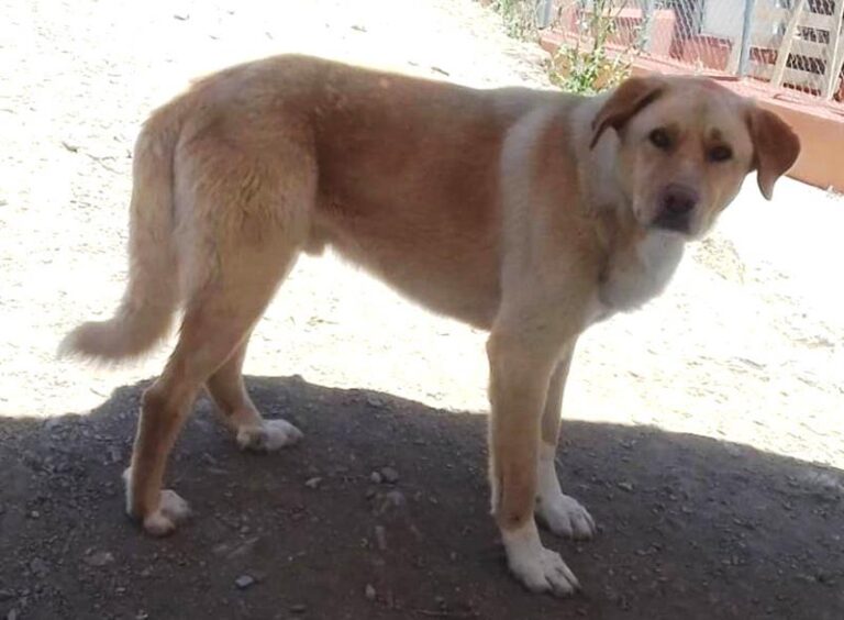 multimedia-foto59686-114-1