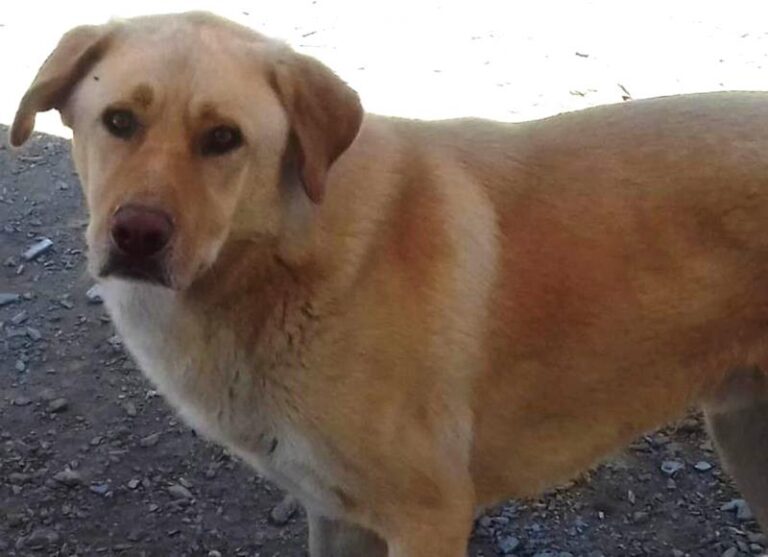 multimedia-foto59687-114-1