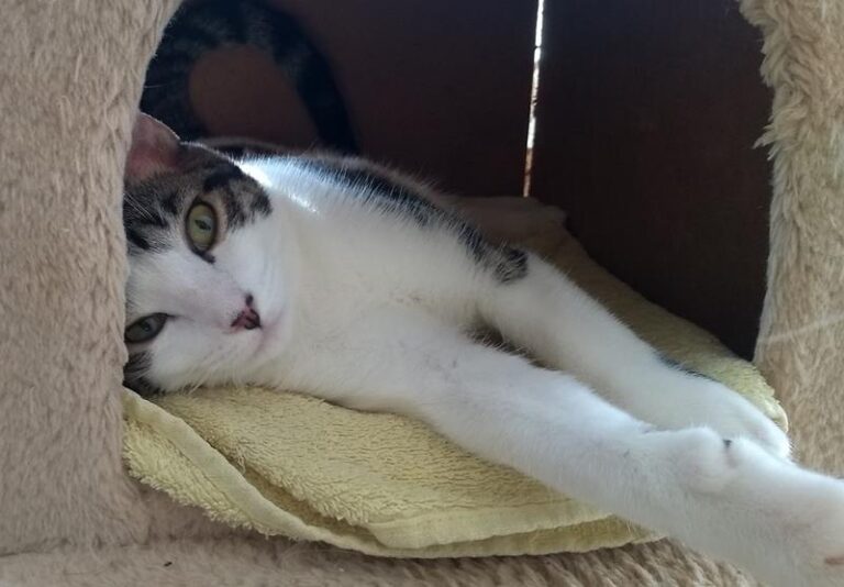 multimedia-foto59726-134-1