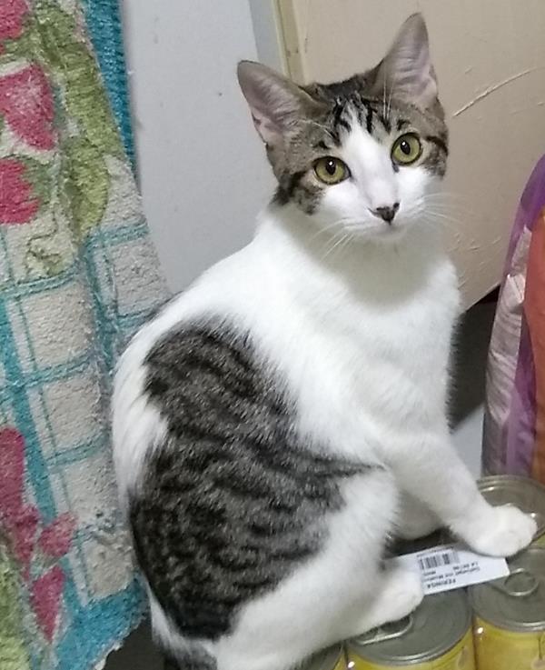 multimedia-foto59727-134-1