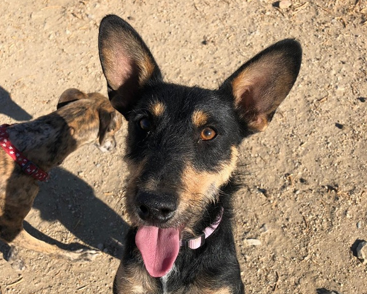 multimedia-foto59729-219-1