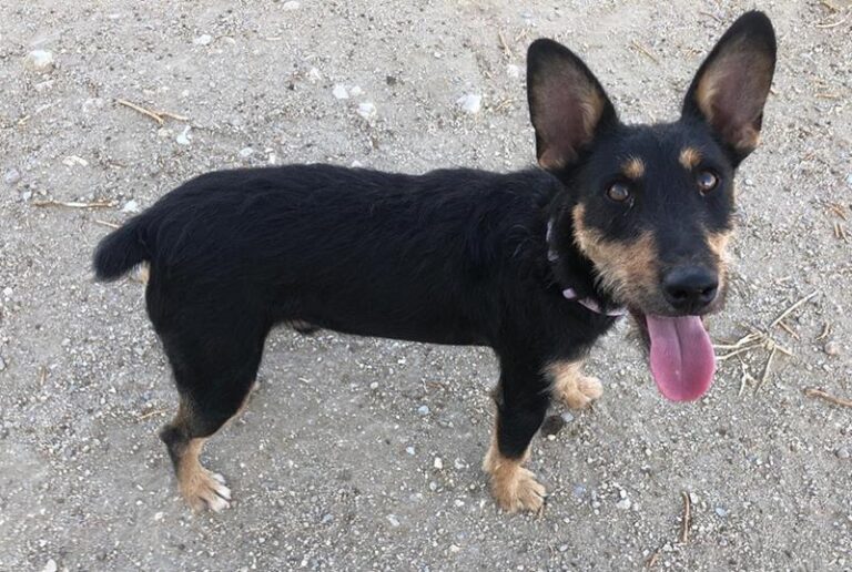 multimedia-foto59730-219-1