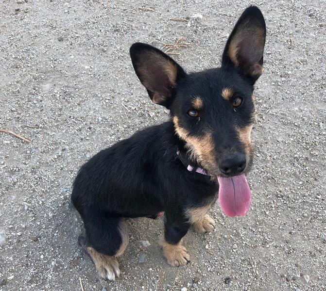 multimedia-foto59731-219-1