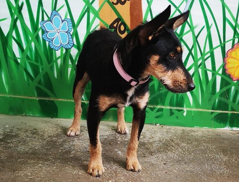 multimedia-foto59732-220-1