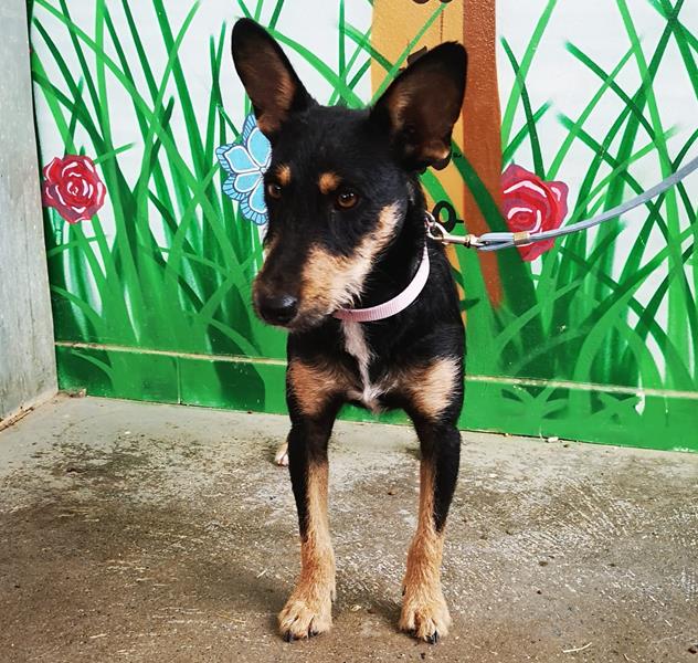 multimedia-foto59733-220-1