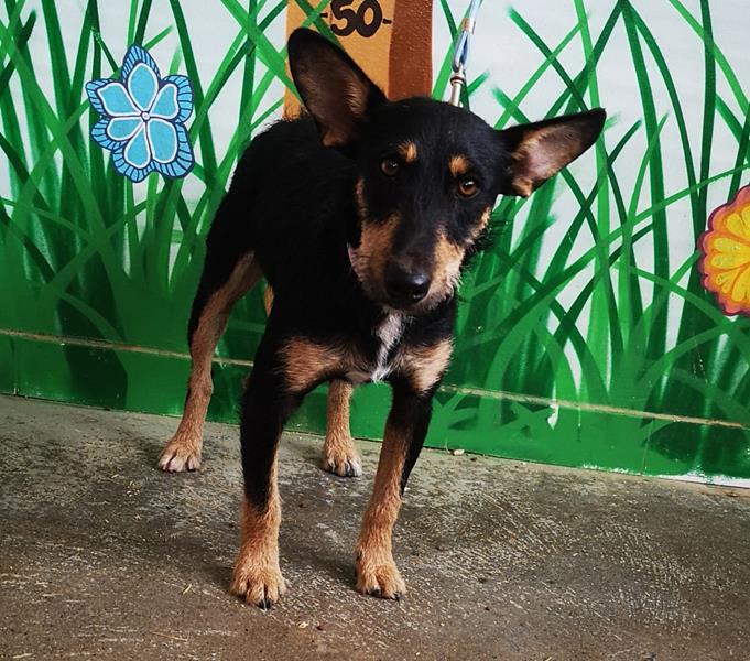 multimedia-foto59734-220-1