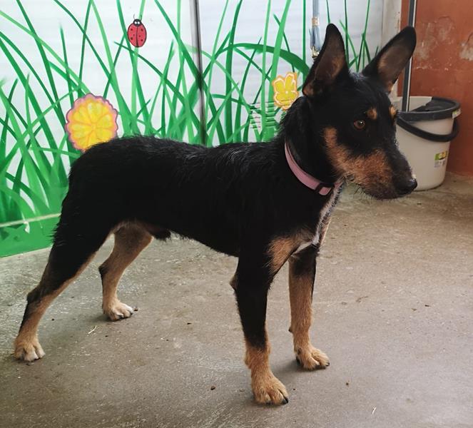 multimedia-foto59735-220-1